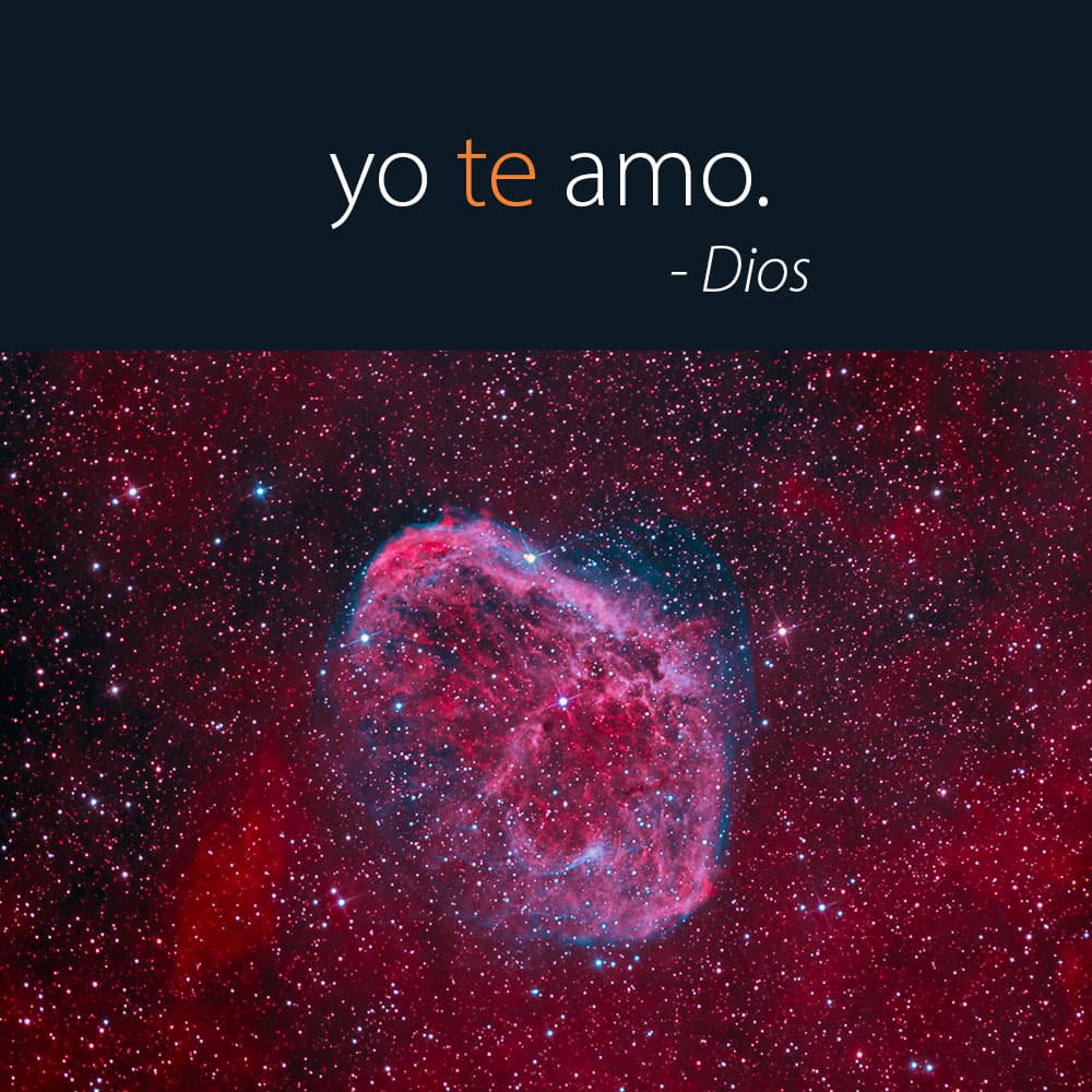 Yo te Amo
